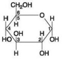   If two molecules of the general type shown in the accompanying figure were linked together, carbon-1 of one molecule to carbon-4 of the other, the single molecule that would result would be ________. A)  maltose B)  fructose C)  glucose D)  galactose E)  sucrose