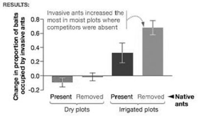   The accompanying graph shows data from a research study designed to test the hypothesis that both abiotic and biotic factors can affect the distribution of invasive Argentine ants. Using the graph, identify the statement that is best supported by the data. A)  Abiotic factors (e.g., soil moisture)  only affect the distribution of invasive Argentine ants. B)  Biotic factors (e.g., competition)  only affect the distribution of invasive Argentine ants. C)  Both abiotic and biotic factors interact to affect the distribution of invasive Argentine ants. D)  Neither abiotic nor biotic factors affect the distribution of invasive Argentine ants.