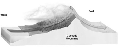   -In the figure above, which direction will have a rain shadow? A)  South B)  East C)  West D)  North E)  Both West and East