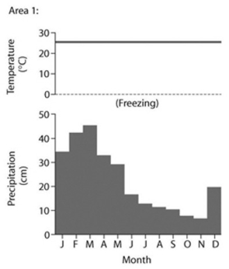     -Based on the data in the accompanying figure, which of the following statements are correct? I. Area 1 would be considered a desert because of its high average temperature. II. Area 1 has more average precipitation than Area 2. III. Area 2 would be considered a desert because of its low average precipitation. IV. Area 2 has a larger annual temperature variation. A)  only I and III B)  only II and IV C)  only I, II, and IV D)  only II, III, and IV E)  only I, II, and III 