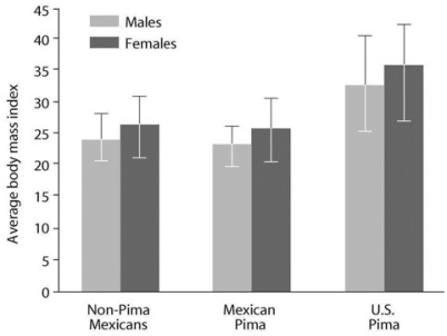   The Pimas are a group of people living in the southwestern United States and Mexico. Although Pima Indians living in the United States and Mexico have a similar genetic background, a five-fold increase in the incidence of type II diabetes mellitus among U.S. Pima has been reported. The body mass index (a measure of obesity)  of Mexicans of non-Pima descent, Mexicans of Pima descent, and Pimas living in the United States is shown in the accompanying figure. Based on this information and the graph, what can you infer about the incidence of type II diabetes mellitus? A)  Obesity is a risk factor for development of type II diabetes mellitus. B)  If you maintain a normal body weight (body mass index less than 25) , you will not get type II diabetes mellitus. C)  The incidence of type II diabetes mellitus has increased in the past ten years. D)  People who develop type II diabetes mellitus are typically diagnosed in childhood or adolescence.