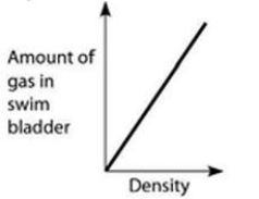 Use the accompanying figure and information to answer the question(s)  below.   -Which graph properly depicts the relationship between the amount of gas in the swim bladder and the density of the fish? A)    B)    C)    D)    E)    Graph with density on the x-axis and amount of gas in swim bladder on the y-axis. Both axes are unscaled, increasing. A line increases steeply from the origin and then flattens near the top of the y-axis.