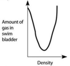 Use the accompanying figure and information to answer the question(s)  below.   -Which graph properly depicts the relationship between the amount of gas in the swim bladder and the density of the fish? A)    B)    C)    D)    E)    Graph with density on the x-axis and amount of gas in swim bladder on the y-axis. Both axes are unscaled, increasing. A line increases steeply from the origin and then flattens near the top of the y-axis.