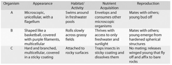   As you are on the way to Tahiti for a vacation, your plane crash-lands on a previously undiscovered island. You soon find that the island is teeming with unfamiliar organisms, and you, as a student of biology, decide to survey them (with the aid of the Insta-Lab Portable Laboratory you brought along in your suitcase) . You select three organisms and observe them in detail, making the notations found in the accompanying table. Which organism would you classify as an animal? A)  organism A B)  organism B C)  organism C
