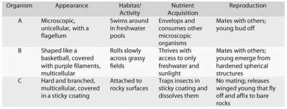   From the information provided in the accompanying table, how would you classify the feeding strategy of organism C? A)  suspension feeding B)  predation C)  parasitism D)  suspension feeding and predation E)  predation and parasitism