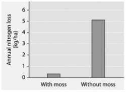Researchers tested nitrogen loss from soil where the moss Dawsonia was growing and compared it to soil from which Dawsonia had been removed. The data are presented in the accompanying figure.   -In the figure, which graph of soil nitrogen loss over time most strongly supports the hypothesis that if the 20-cm-tall Dawsonia acts as a physical buffer, then it reduces water's ability to erode the soil and carry away its nitrogen? A)  A B)  B C)  C D)  D E)  None of these graphs support the hypothesis.