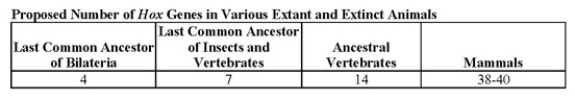 Use the following table to answer the question(s)  below.   -What conclusion is apparent from the data in the accompanying table? A)  Land animals have more Hox genes than do those that live in water. B)  All bilaterian phyla have had the same degree of expansion in their numbers of Hox genes. C)  Acoel flatworms should be expected to contain seven Hox genes. D)  The expansion in number of Hox genes throughout vertebrate evolution cannot be explained merely by three duplications of the ancestral vertebrate Hox cluster. E)  Extant insects all have seven Hox genes.
