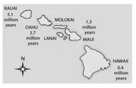   -According to the theory of sea-floor spreading, oceanic islands, such as the Hawaiian Islands depicted in the accompanying figure, form as oceanic crustal plates move over a stationary  hot spot  in the mantle. Currently, the big island of Hawaii is thought to be over a hot spot, which is why it is the only one of the seven large islands that has active volcanoes. What should be TRUE of the island of Hawaii? 1)  Scientists in search of ongoing speciation events are more likely to find them here than on the other six large islands. 2)  Its species should be more closely related to those of nearer islands than to those of farther islands. 3)  It should have a rich fossil record of terrestrial organisms. 4)  It should have species that are not found anywhere else on Earth. 5)  On average, it should have fewer species per unit surface area than the other six islands. A)  1, 2, and 3 B)  1, 2, and 5 C)  1, 2, 3, and 4 D)  1, 2, 4, and 5 E)  2, 3, 4, and 5