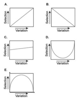   Which of the graphs shown best represents the relationship between the intensity of directional selection and the genetic variation present within a population? A)  Graph A B)  Graph B C)  Graph C D)  Graph D E)  Graph E