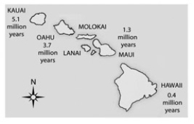 <strong> Soon after the island of Hawaii rose above the sea surface (somewhat less than 1 million years ago) and organisms colonized the island, the evolution of life on this new island should have been most strongly influenced by ________.</strong> A) a genetic bottleneck B) sexual selection C) habitat differentiation D) founder effects