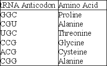 Use the following information to answer the question below. A part of an mRNA molecule with the following sequence is being read by a ribosome: 5' CCG-ACG 3'(mRNA) . The following charged transfer RNA molecules (with their anticodons shown in the 3' to 5' direction)  are available. Two of them can correctly match the mRNA so that a dipeptide can form.   The anticodon loop of the first tRNA that will complement this mRNA is A)  3' GGC 5' B)  5' GGC 3' C)  5' ACG 3' D)  5' UGC 3' E)  3' UGC 5'
