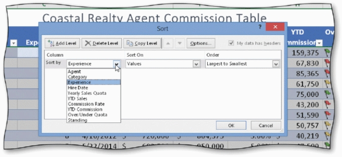   -In the Sort dialog box,shown in the accompanying figure,the ____ is the Sort by field. A)  minor sort key B)  major sort key C)  intermediate sort key D)  none of the above