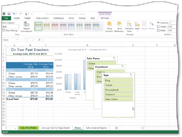 As shown in the accompanying figure, _________________________ are graphic objects that contain buttons you tap or click to filter the data in PivotTables and PivotCharts.