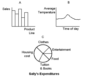 Graph 2-8    -Refer to Graph 2-8. Which of the graphs shown is a time series graph? A)  A B)  B C)  C D)  A and B
