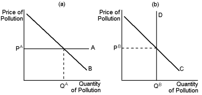 Graph 10-4    -Refer to Graph 10-4. The equivalence of a Pigovian tax and a pollution permit would require that: A)  P<sup>B</sup> be equivalent to the Pigovian tax B)  Q<sup>A</sup> be equivalent to the amount of pollution allowed by the pollution permit holders C)  the equilibrium price and quantity of pollution be the same in both panel A and panel B D)  all of the above conditions hold