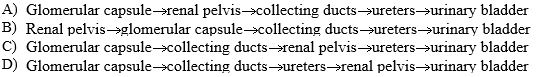 Which of the following is the correct flow of urine?