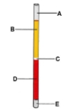 Match the lettered hematocrit tube layers with their appropriate label.  