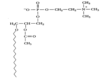 What does this structure represent?   A) sphingomyelin B) phosphatidylcholine C) platelet-activating factor (PAF)  D) phosphatidylethanolamine
