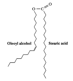 What is this structure an example of?   A) a diacylglycerol B) a triacylglycerol C) a wax ester D) an eicosanoid
