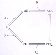 In the reaction mechanism below,which components are competitive for binding to free enzyme E?   A) P and A B) A and B C) B and Q D) Q and A
