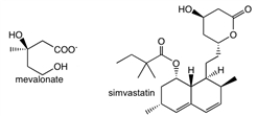 HMG-CoA reductase, the regulatory enzyme for the synthesis of cholesterol, is inhibited by simvastatin. Based upon the structure of the product, mevalonate, and the structure of simvastatin, what sort of enzyme inhibition would be produced by simvastatin?   A)  competitive B)  non-competitive C)  uncompetitive D)  mechanism-based inactivator E)  none of the above 
