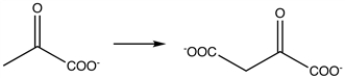 What coenzyme would be required in the following reaction?   A)  ADP B)  thiamine pyrophosphate C)  biotin D)  lipoic acid E)  coenzyme A 