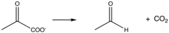 What coenzyme would be required in the following reaction?   A)  NAD<sup>+</sup> B)  thiamine pyrophosphate C)  biotin D)  lipoic acid E)  coenzyme A 