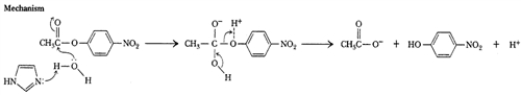 The catalytic mechanism below is an example of:   A)  covalent nucleophilic catalysis. B)  covalent electrophilic catalysis. C)  specific base catalysis. D)  general base catalysis. E)  low barrier hydrogen bond catalysis. 