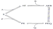 In the reaction mechanism below, ____ are competitive for binding to free enzyme E.   A)  P and A B)  A and B C)  B and Q D)  Q and A E)  All of the above 