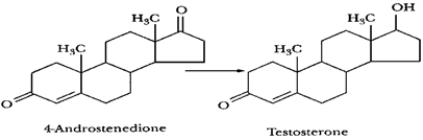 The reaction below is catalyzed by:   A)  desmolase. B)  17α-hydroxylase. C)  17,20-lyase. D)  17β-hydroxysteroid dehydrogenase. E)  none of the above are true. 