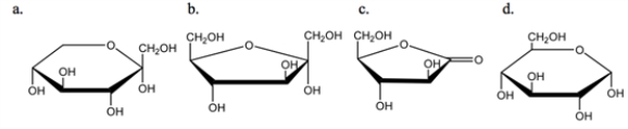 Which of the following monosaccharides is an aldose?   A)  a B)  b C)  c D)  d E)  none of the above 