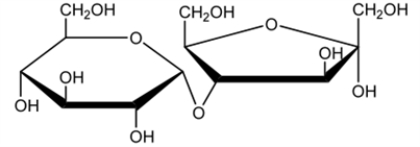 Which of the following best describes the glycosidic bond below?   A)  β(2→4)  B)  α(1→3)  C)  α(1→4)  D)  β(1→3)  E)  α(2→4)  