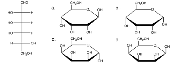 Which of the following would be the correct Haworth projection for β-D-talose (linear form is shown on the left) ?   A)  a B)  b C)  c D)  d E)  none of the above 