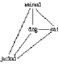 The mental lexicon is thought to be organized as a semantic network in which word meanings are connected to each other,as in the diagram here.Based on what you know about how strength of association between word meanings is represented in semantic networks,determine which of the following statements regarding the network is TRUE.   A) Jackal is a less frequently accessed animal word than cat. B) The association between dog and jackal is weaker than the association between cat and jackal. C) Jackal is a less frequently accessed animal word than dog. D) The association between dog and cat is stronger than the association between animal and cat.