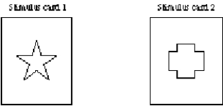 A monkey is taught that food is associated with a stimulus card that has a star on it.After training,the animal receives a lesion to the lateral prefrontal cortex.The monkey's memory for the food-stimulus card association is then tested by presenting the animal with the two stimulus cards diagrammed here.How will the monkey now respond?   A) The monkey will remember the correct response and choose stimulus card 1 to earn a food reward. B) The memory trace left by the training period will be disrupted by the surgery,and the monkey will randomly select among the stimulus cards. C) The monkey will no longer be able to retrieve old memories,even if the representations are intact,and will randomly select among the stimulus cards. D) The monkey will no longer be able recognize visual patterns and will randomly select among the stimulus cards.