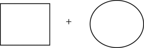 The following is a sample stimulus shown briefly to a split-brain patient who has the typical pattern of language dominance. If you ask her to name the object she sees, what will her answer probably be?   A)   Square.  B)   Circle.  C)   Square and circle.  D)   Nothing. 