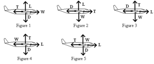 An airplane is traveling in level flight at a constant velocity.L is the lift,W is the weight,T is the thrust,and D is the drag.Which of the diagrams is the correct free body force diagram for the airplane?   A)  Figure 1 B)  Figure 2 C)  Figure 3 D)  Figure 4 E)  Figure 5