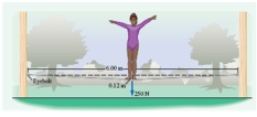  Diane (weight 255 N) is practicing on a tightrope that is 6.00 meters long and sags by 0.120 meters.When she is in the middle of the rope,what is the force on each eyebolt holding the tightrope?   A)  1.62  \times  10<sup>3</sup> N B)  3.19  \times  10<sup>3</sup> N C)  6.38  \times  10<sup>3</sup> N D)  4.99  \times 10<sup>3</sup> N 