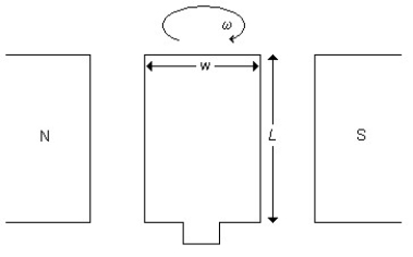 FIGURE 29-10   -A circular loop of wire is rotated at constant angular speed about an axis whose direction can be varied. In a region where a uniform magnetic field points straight down, what must be the orientation of the loop's axis of rotation if the induced emf is to be a maximum? A) Any horizontal orientation will do. B) It must make an angle of 45° to the vertical. C) It must make an angle of 60° to the vertical. D) It must be vertical. E) none of the given answers