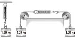 FIGURE 4-1   -In Fig. 4-1 the scale at left is attached to the ceiling and a mass of 1.00 kg hangs from it. It reads 9.81 N. The identical scale at the right is connected by perfect strings passing over perfect pulleys to two 1.00 kg masses hanging vertically at the end of the strings. The scale at right reads A) exactly 9.81 N. B) more than 9.81 N, but not quite twice as much. C) less than 9.81 N. D) exactly 19.62 N. E) more than 19.62 N.