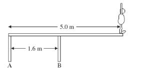 An 82-kg diver stands at the edge of a light 5.0-m diving board, which is supported by two vertical pillars that are 1.6 m apart, as shown in the figure. Find the magnitude and direction of the force exerted by each pillar.  