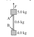 A 5.0-kg block and a 4.0-kg block are connected by a 0.6 kg rod, as shown in the figure. The links between the blocks and the rod are denoted by A and B. A vertical upward force of magnitude F is applied to the upper block. The blocks and rod assembly are moving downward at constant velocity of 85 cm/s. (a) What is the magnitude of the applied force F? (b) What magnitude force does link A exert?  