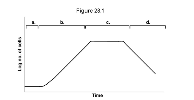   -In Figure 28.1, assume the cells are producing penicillin which is collected during the idiophase. When would you be able to collect the penicillin? A)  a B)  b C)  c D)  d