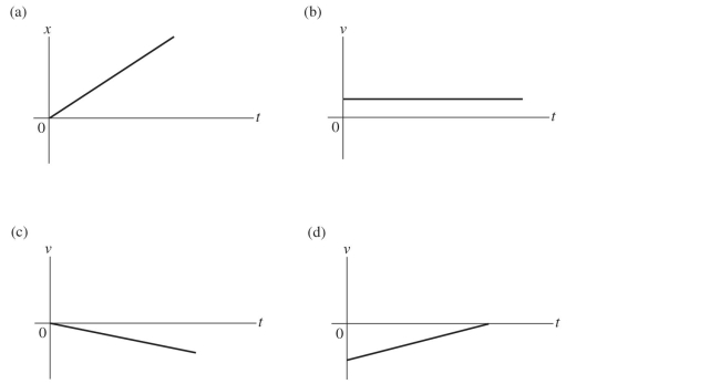 Which of the following graphs represent an object having zero acceleration?   A)  only graph a B)  only graph b C)  graphs b and c D)  graphs a and b E)  graphs c and d