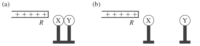     X  and  Y  are two initially uncharged metal spheres on insulating stands, and they are in contact with each other. A positively charged rod  R  is brought close to  X  as shown in part (a)  of the figure. Sphere  Y  is now moved away from  X , as shown in part (b) . What are the final charge states of  X  and  Y  ? A)   X  is neutral and  Y  is positive. B)   X  is positive and  Y  is neutral. C)  Both  X  and  Y  are negative. D)   X  is negative and  Y  is positive. E)  Both  X  and  Y  are neutral. 