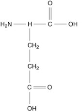  Which of the following compounds is an  \alpha -amino acid? A)    B)    C)    D)    