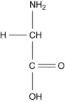  Which of the following compounds is an  \alpha -amino acid? A)    B)    C)    D)    