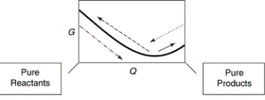 A sketch of the free energy versus Q for a hypothetical chemical equilibrium is shown here. The stress to the equilibrium by adding more reactants is shown by which arrow?   A)    B)    C)    D)   