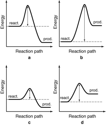 <strong>The energy profiles for four different reactions are shown. Which reaction requires the least energetic collisions to reach the transition state?  </strong> A) a B) b C) c D) d <div style=padding-top: 35px> 