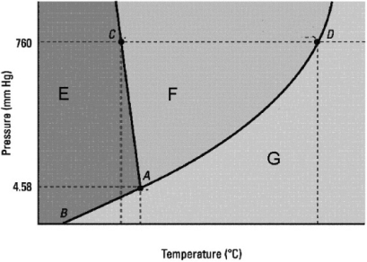 Which statement about the phase diagram below is not correct?   A)  The critical point is not shown. B)  D is the normal boiling point. C)  The vapor pressure of the solid is zero below the triple point. D)  The normal melting point is at a lower temperature than the triple point. E)  E, F, and G label in that order the solid, liquid, and gas phases.